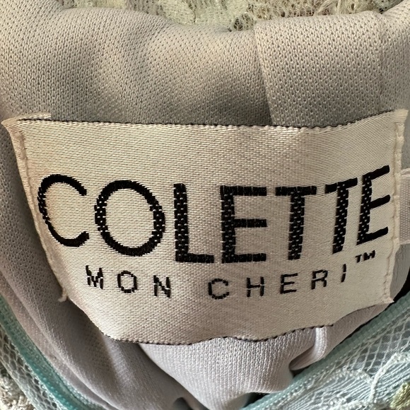 Colette Mon Cheri Blue Embroidered Dress - Picture 16 of 16